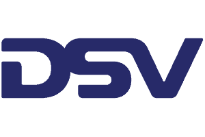 DSV.png